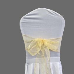 Organza Chair Sashes - Champagne 