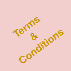 TERMS AND CONDITIONS.