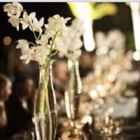 80 cm tall tulip vases 