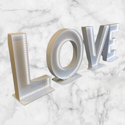 12m LOVE Letters with Lights 