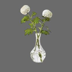 Bud Vase   Pear Shaped 