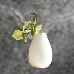 Ceramic Bud Vases   White
