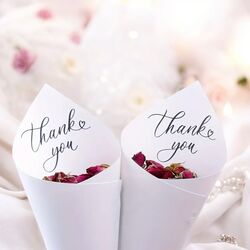 Confetti Cone Pack   DIY 