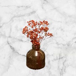 Dried Arrangements   Rust with Bud Vase