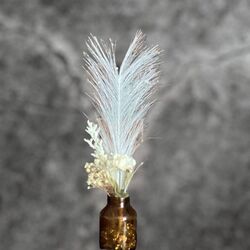 Posy Dried Flower - White/Cream 