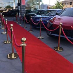 Gold Reflective Bollards, Red or Black Ropes 
