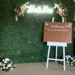 Greenery Wall  2m x 2m