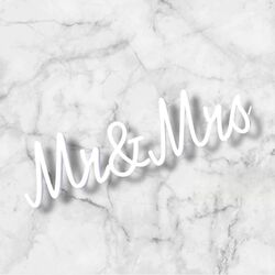 NEON SIGN   Sketch + Etch  Mr + Mrs