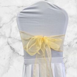 Organza Chair Sashes - Champagne 