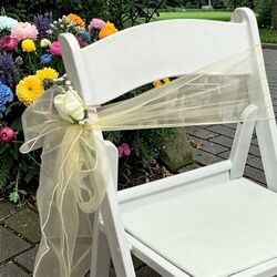 Organza Chair Sashes   Champagne 