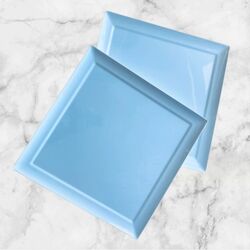 Square Plastic Platters - Large 