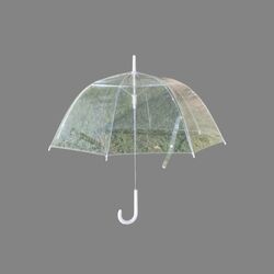 Umbrellas   Clear Dome  84cm
