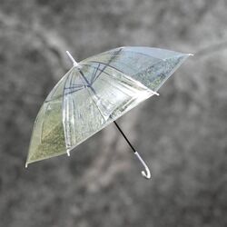 Umbrellas - Clear  (69cm)