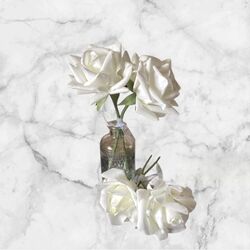 Vase Flowers   2 x White Roses 