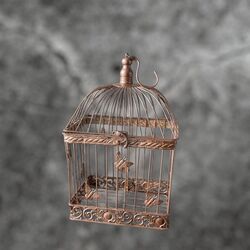 Wishing Well - Bird Cage - Rose Gold 