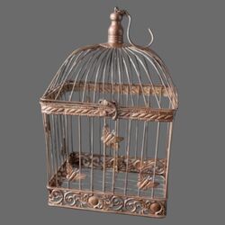 Wishing Well   Bird Cage   Rose Gold 